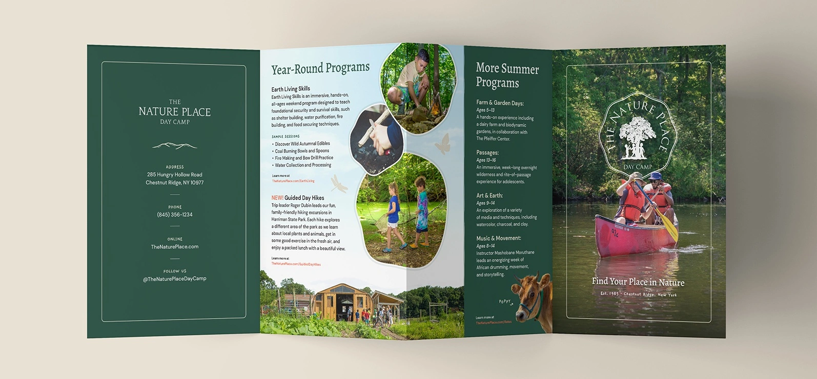 5 Creative Brochure Ideas To Help You Stand Out | AlphaGraphics